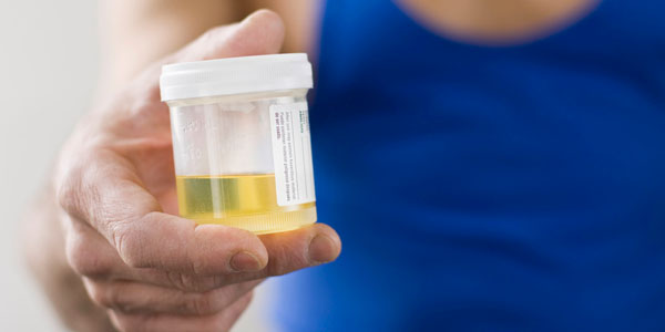 Some facts that you should be knowing about synthetic urine