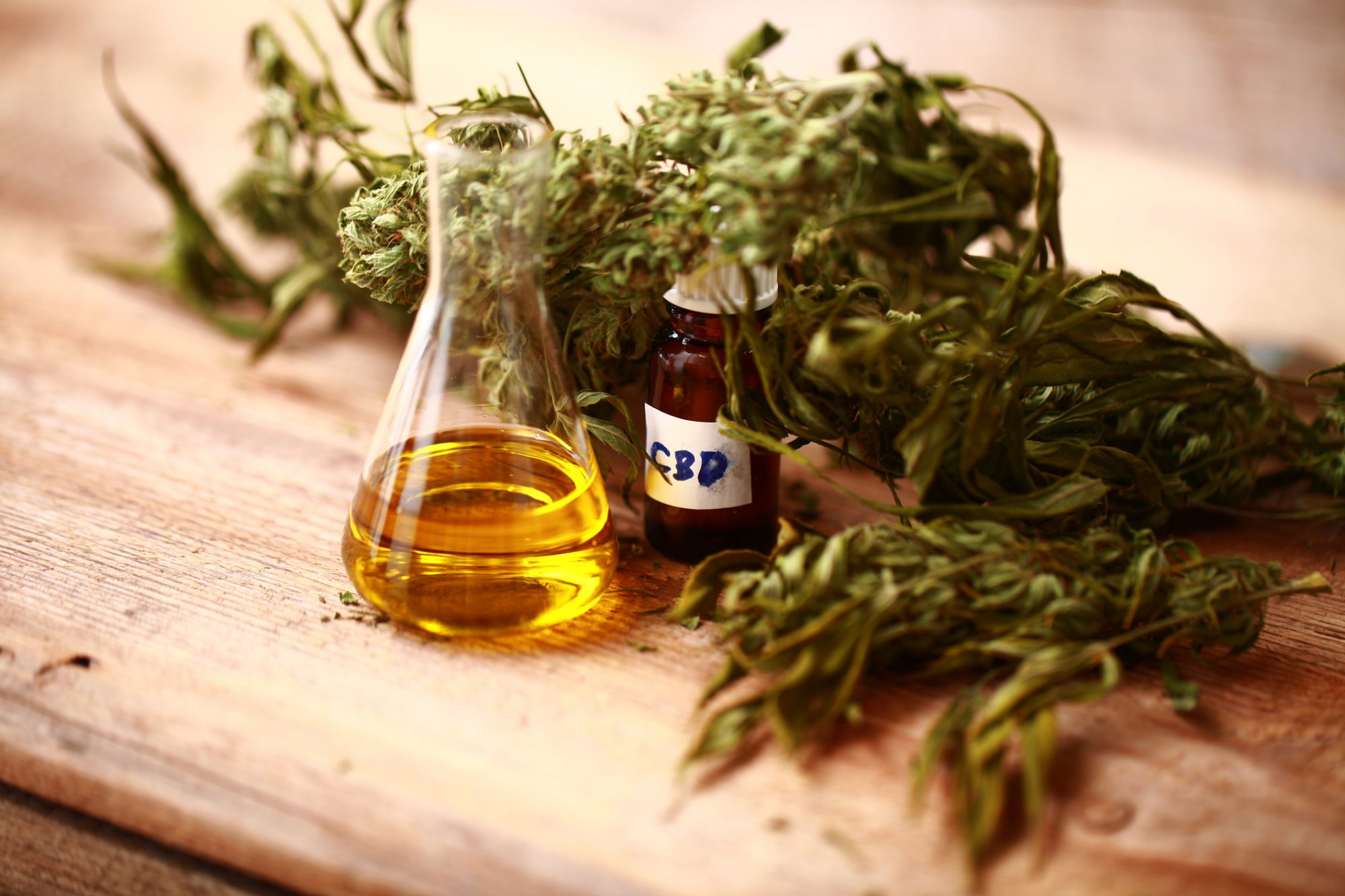 What Health Conditions Can CBD Oil Help