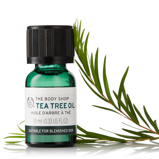 Know more about the Tea Tree Oil Uses and Benefits