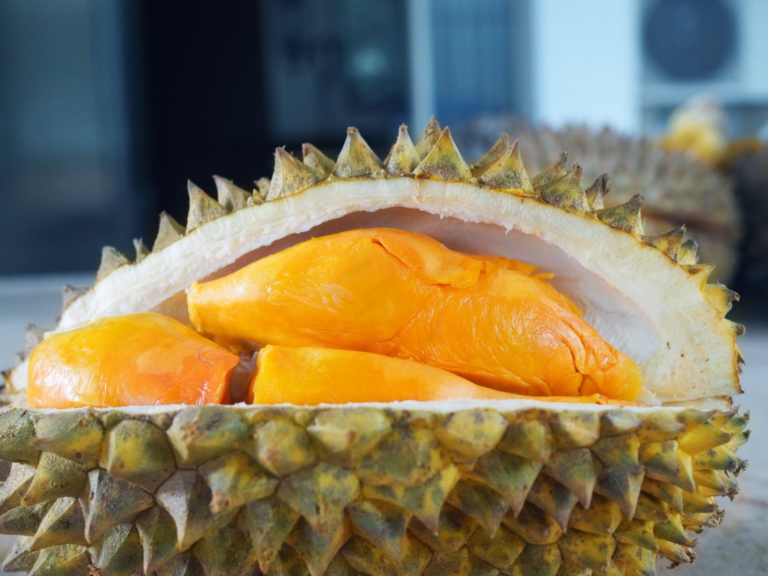How should you eat the Durian fruit